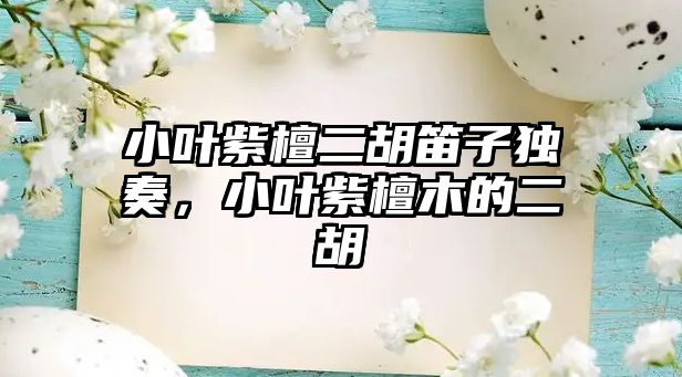 小葉紫檀二胡笛子獨奏，小葉紫檀木的二胡