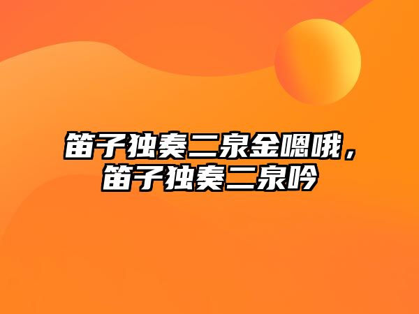 笛子獨奏二泉金嗯哦，笛子獨奏二泉吟