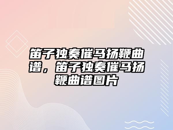 笛子獨奏催馬揚鞭曲譜，笛子獨奏催馬揚鞭曲譜圖片