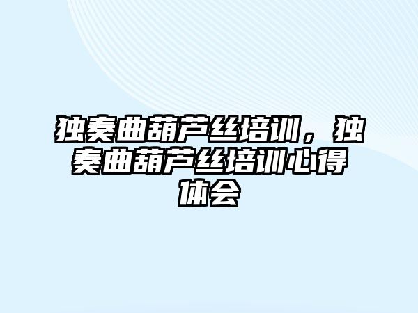 獨奏曲葫蘆絲培訓，獨奏曲葫蘆絲培訓心得體會