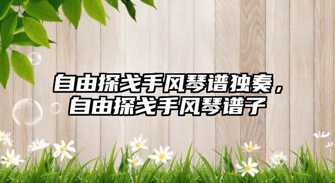 自由探戈手風琴譜獨奏，自由探戈手風琴譜子