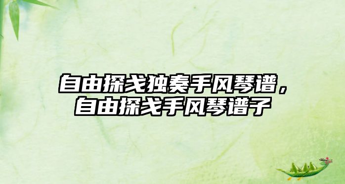 自由探戈獨奏手風琴譜，自由探戈手風琴譜子