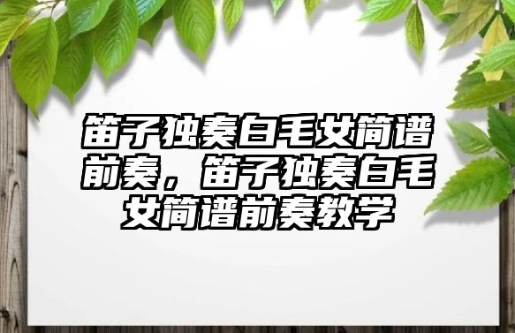 笛子獨奏白毛女簡譜前奏，笛子獨奏白毛女簡譜前奏教學