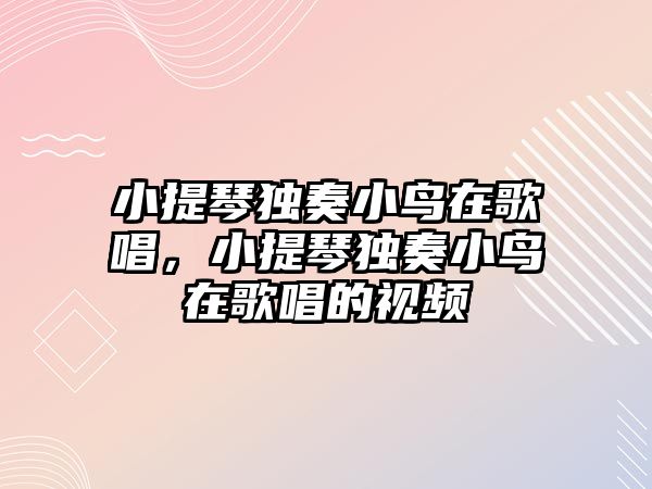 小提琴獨奏小鳥在歌唱，小提琴獨奏小鳥在歌唱的視頻