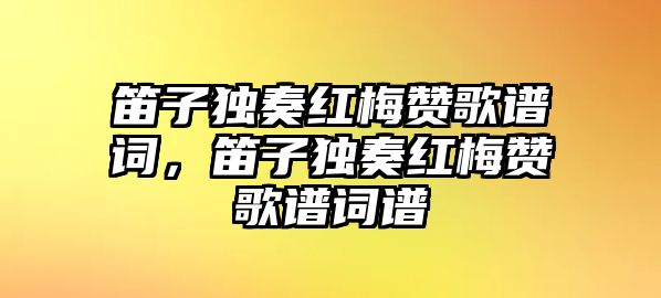 笛子獨奏紅梅贊歌譜詞，笛子獨奏紅梅贊歌譜詞譜