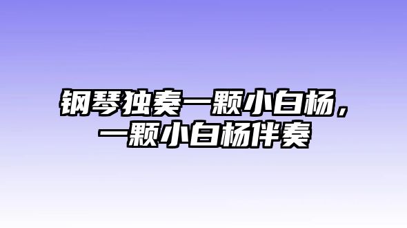 鋼琴獨(dú)奏一顆小白楊，一顆小白楊伴奏