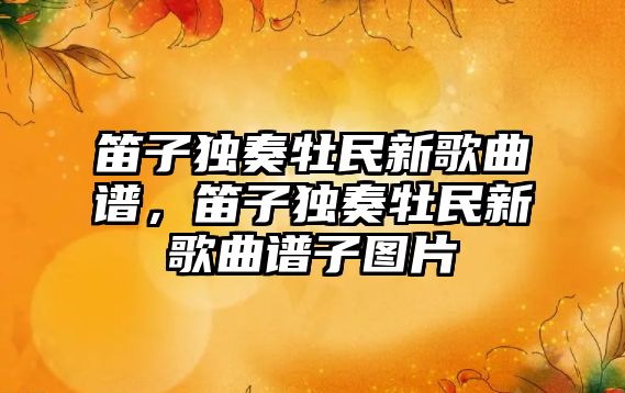 笛子獨奏牡民新歌曲譜，笛子獨奏牡民新歌曲譜子圖片