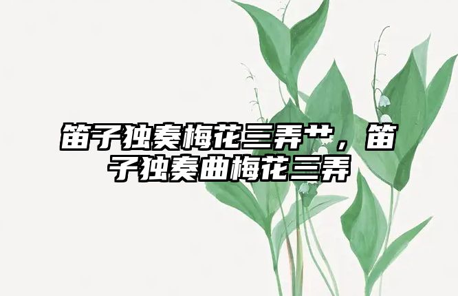 笛子獨奏梅花三弄艸，笛子獨奏曲梅花三弄