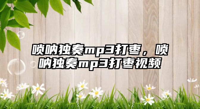 嗩吶獨奏mp3打棗，嗩吶獨奏mp3打棗視頻