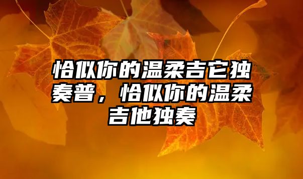 恰似你的溫柔吉它獨奏普，恰似你的溫柔吉他獨奏