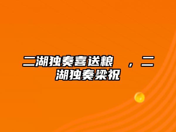 二湖獨奏喜送糧簡譜，二湖獨奏梁祝