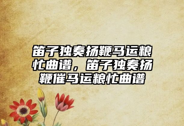 笛子獨奏揚鞭馬運糧忙曲譜，笛子獨奏揚鞭催馬運糧忙曲譜