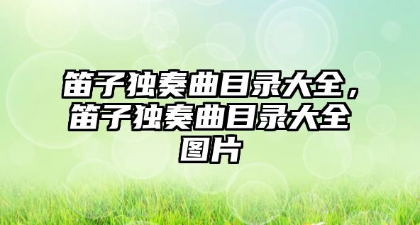 笛子獨奏曲目錄大全，笛子獨奏曲目錄大全圖片