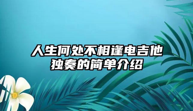 人生何處不相逢電吉他獨(dú)奏的簡單介紹