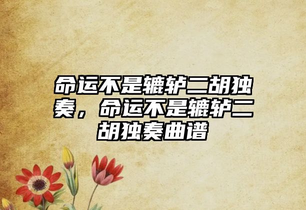 命運(yùn)不是轆轤二胡獨(dú)奏，命運(yùn)不是轆轤二胡獨(dú)奏曲譜