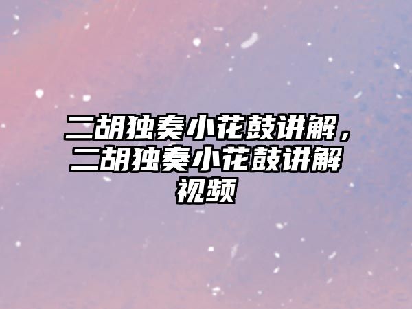 二胡獨奏小花鼓講解，二胡獨奏小花鼓講解視頻