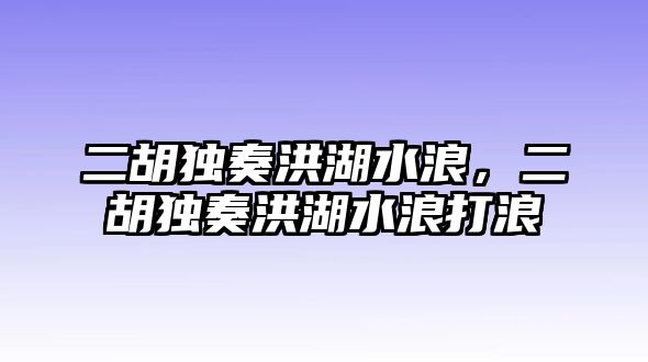 二胡獨奏洪湖水浪，二胡獨奏洪湖水浪打浪