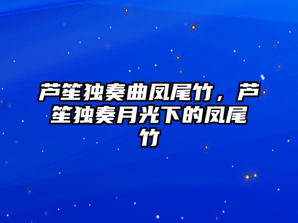 蘆笙獨奏曲鳳尾竹，蘆笙獨奏月光下的鳳尾竹