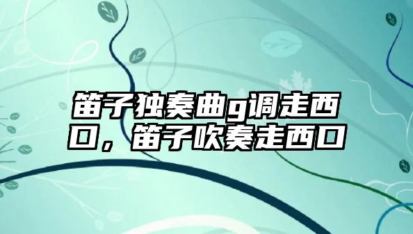 笛子獨奏曲g調走西口，笛子吹奏走西口