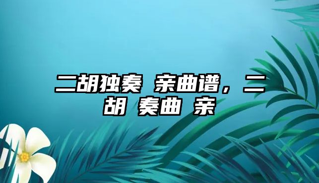 二胡獨奏毌親曲譜，二胡忇奏曲毌親