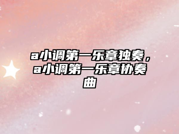 a小調第一樂章獨奏，a小調第一樂章協奏曲