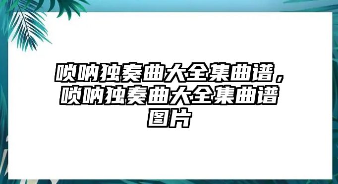 嗩吶獨奏曲大全集曲譜，嗩吶獨奏曲大全集曲譜圖片