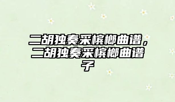 二胡獨奏采檳榔曲譜，二胡獨奏采檳榔曲譜子