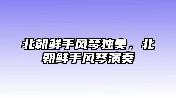 北朝鮮手風琴獨奏，北朝鮮手風琴演奏