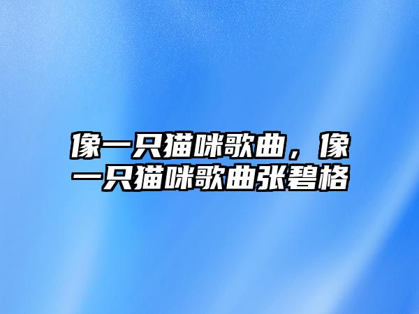 像一只貓咪歌曲，像一只貓咪歌曲張碧格